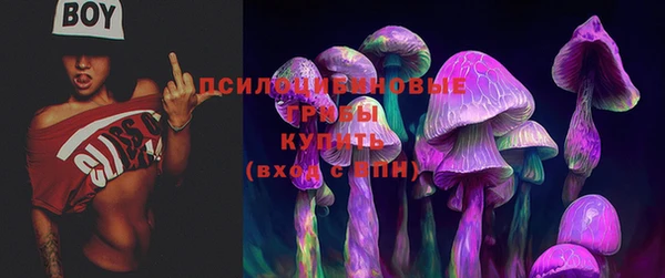 ешки Абдулино