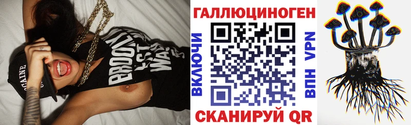 Псилоцибиновые грибы мицелий  продажа наркотиков  Хасавюрт 