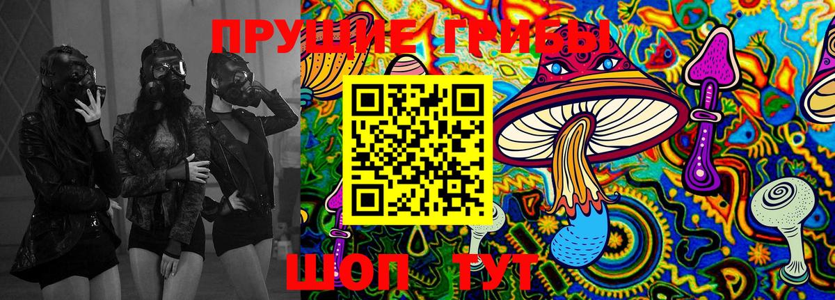 Псилоцибиновые грибы ЛСД  Псилоцибиновые грибы Psilocybe  Хасавюрт  Вход с VPN 
